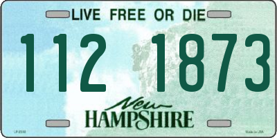 NH license plate 1121873