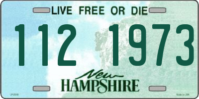 NH license plate 1121973