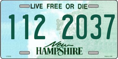 NH license plate 1122037