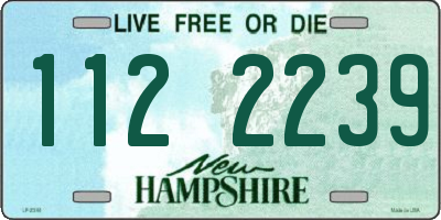 NH license plate 1122239