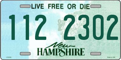 NH license plate 1122302