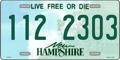 NH license plate 1122303