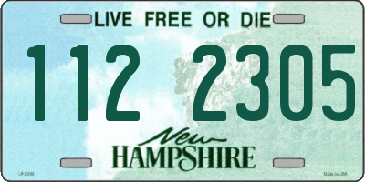 NH license plate 1122305
