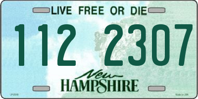 NH license plate 1122307