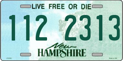 NH license plate 1122313