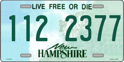 NH license plate 1122377