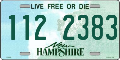 NH license plate 1122383
