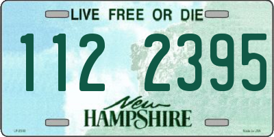 NH license plate 1122395