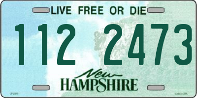 NH license plate 1122473
