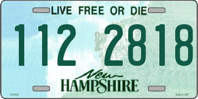 NH license plate 1122818