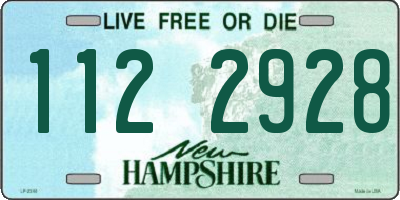 NH license plate 1122928