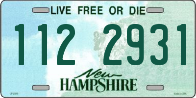 NH license plate 1122931