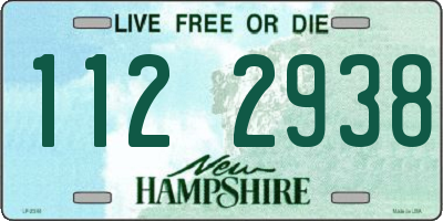 NH license plate 1122938