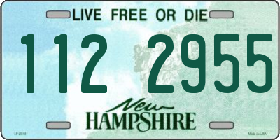 NH license plate 1122955