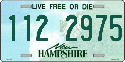 NH license plate 1122975