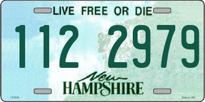 NH license plate 1122979