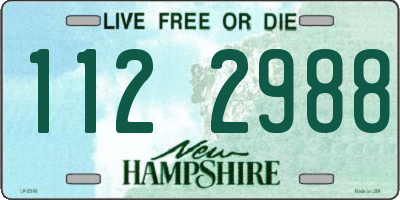 NH license plate 1122988