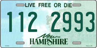 NH license plate 1122993