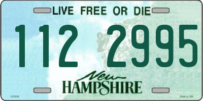 NH license plate 1122995