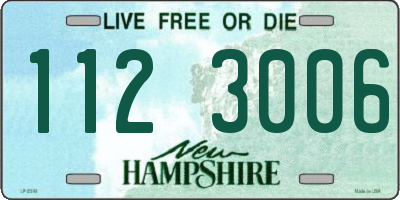 NH license plate 1123006