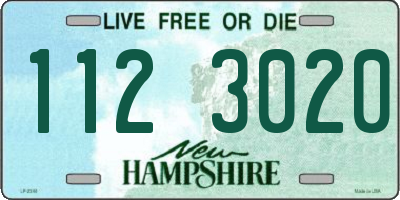 NH license plate 1123020