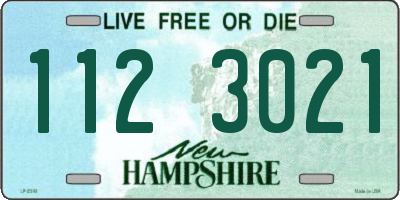 NH license plate 1123021