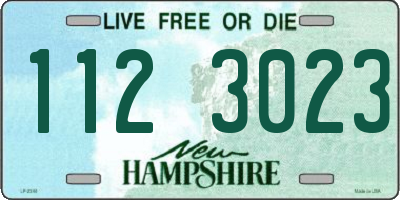 NH license plate 1123023