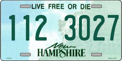 NH license plate 1123027