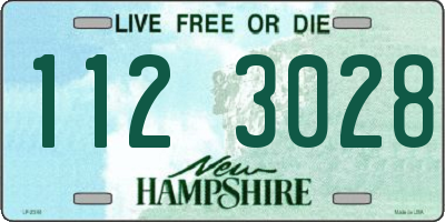 NH license plate 1123028