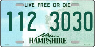 NH license plate 1123030