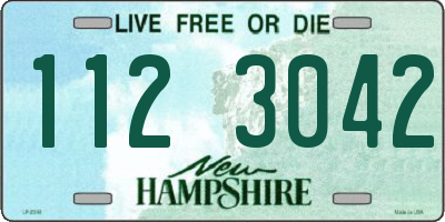 NH license plate 1123042