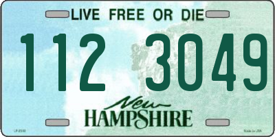 NH license plate 1123049