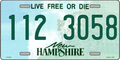 NH license plate 1123058
