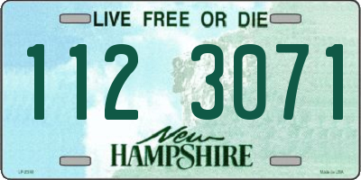 NH license plate 1123071