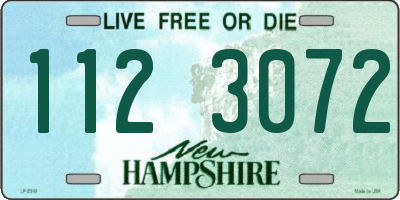 NH license plate 1123072