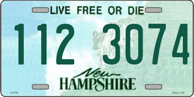 NH license plate 1123074