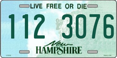 NH license plate 1123076