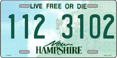 NH license plate 1123102
