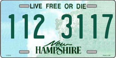 NH license plate 1123117