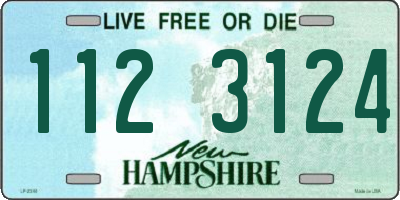 NH license plate 1123124
