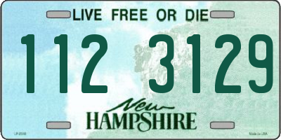 NH license plate 1123129