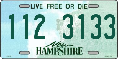 NH license plate 1123133