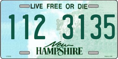 NH license plate 1123135