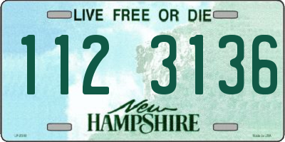 NH license plate 1123136