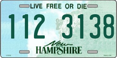 NH license plate 1123138