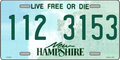 NH license plate 1123153