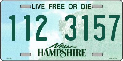 NH license plate 1123157