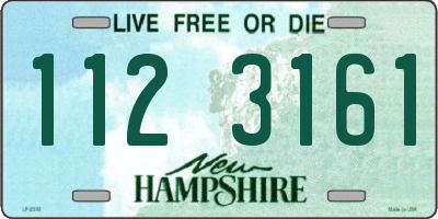 NH license plate 1123161