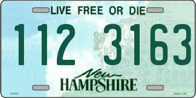 NH license plate 1123163