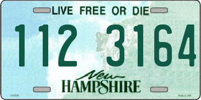 NH license plate 1123164